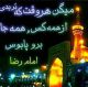 امام رضا کمک